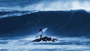 100 Foot Wave