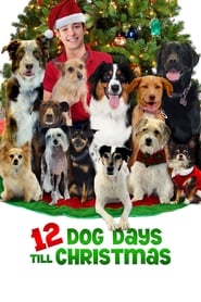 12 Dog Days Till Christmas 12 Dog Days Till Christmas