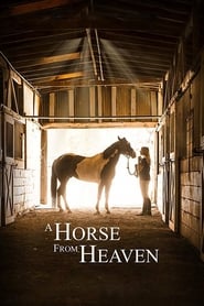A Horse from Heaven A Horse from Heaven