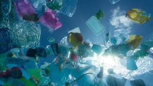 A Plastic Ocean