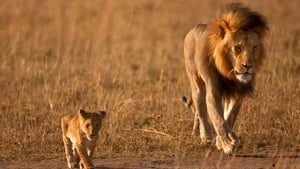 Africa’s Hunters