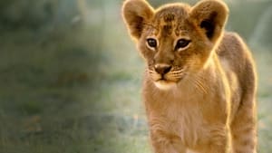 Africa’s Hunters