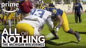 All or Nothing: The Michigan Wolverines