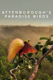 Attenborough’s Paradise Birds Attenborough’s Paradise Birds