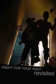 Beastie Boys: Fight for Your Right Revisited