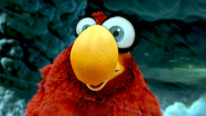 Birds Like Us