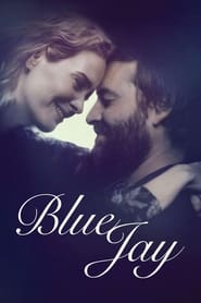 Blue Jay Blue Jay