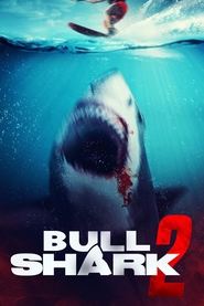 Bull Shark 2 Bull Shark 2