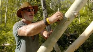 Bushcraft Build-Off