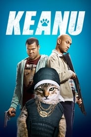 Cat Boys Keanu Cat Boys Keanu