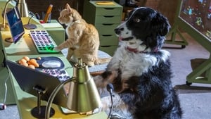 Cats & Dogs 3: Paws Unite