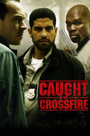 Caught in the Crossfire Caught in the Crossfire