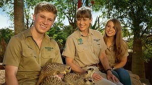 Crikey! It’s the Irwins