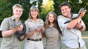 Crikey! It’s the Irwins