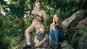 Crikey! It’s the Irwins