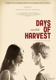 Days of Harvest Days of Harvest