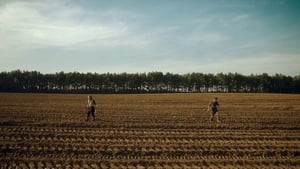 Detectorists