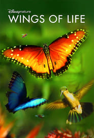 Disneynature: Wings of Life