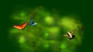 Disneynature: Wings of Life