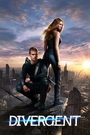 Divergent Divergent