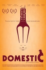 Domestic Domestic