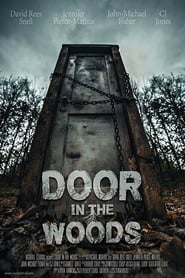 Door in the Woods Door in the Woods