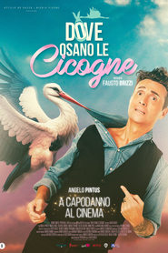 Dove osano le cicogne Dove osano le cicogne