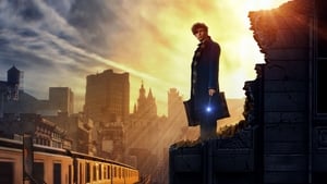 Fantastic Beasts and Where To Find Them