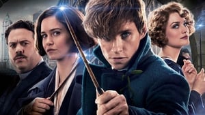Fantastic Beasts and Where To Find Them