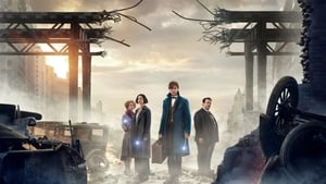 Fantastic Beasts and Where To Find Them