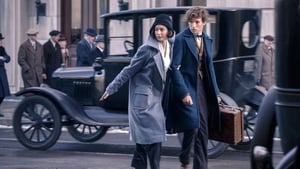 Fantastic Beasts and Where To Find Them
