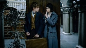 Fantastic Beasts and Where To Find Them