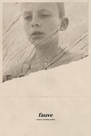 Fauve Fauve