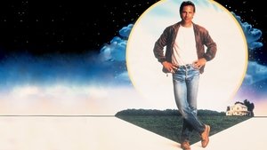 Field of Dreams