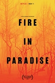 Fire in Paradise Fire in Paradise