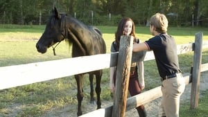 Flicka Country Pride