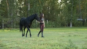 Flicka Country Pride