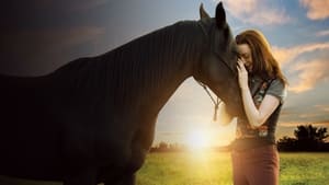 Flicka Country Pride