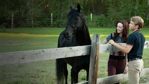 Flicka Country Pride