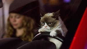 Grumpy Cat’s Worst Christmas Ever