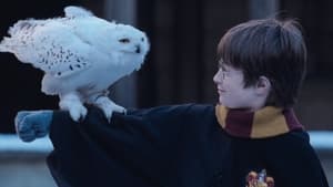 Harry Potter and the Philosophers Stone