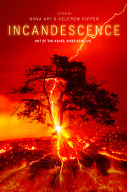 Incandescence Incandescence