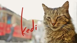 Kedi