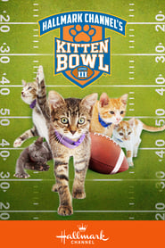 Kitten Bowl III Kitten Bowl III