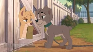 Lady and the Tramp 2: Scamp’s Adventure