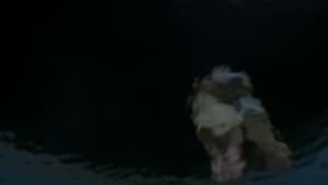 Lady in the Water