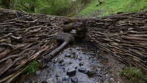 Leaning Into the Wind: Andy Goldsworthy