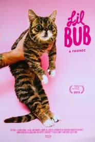 Lil Bub & Friendz Lil Bub & Friendz