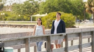 Love in the Sun