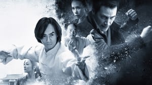 Man Of Tai Chi